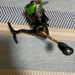 ダイワリールの画像