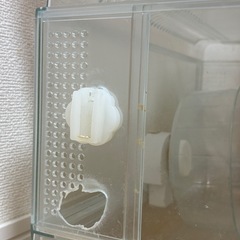 小動物　ケージの画像