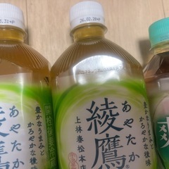 お茶12本の画像