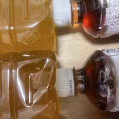 お茶12本の画像