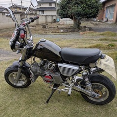 モンキーの画像