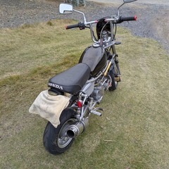 モンキーの画像