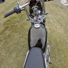 モンキーの画像