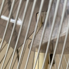 イオン扇風機の画像