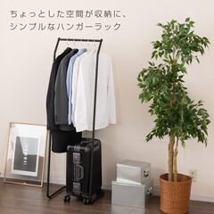 ドウシシャ コンパクトパイプハンガーラック_幅45x奥行42x 高さ151cmの画像