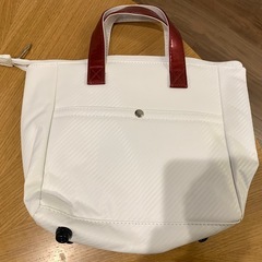 ワールドイーグル　保冷保温バッグの画像