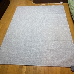 ホットカーペットの画像