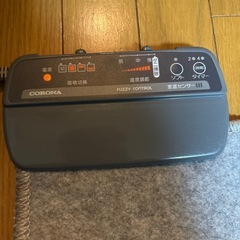 ホットカーペットの画像