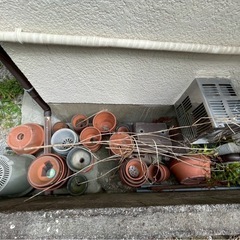 植木鉢きれいめ無料でどうぞの画像