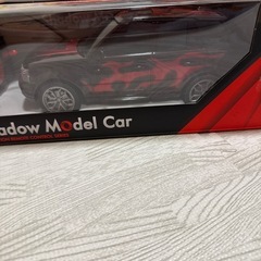 ラジコン①の画像