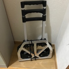 ハンドキャリーの画像