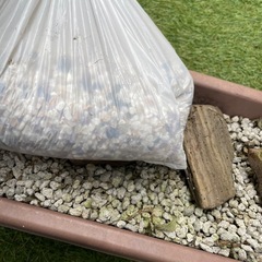 水槽関係/ガーデニングの画像