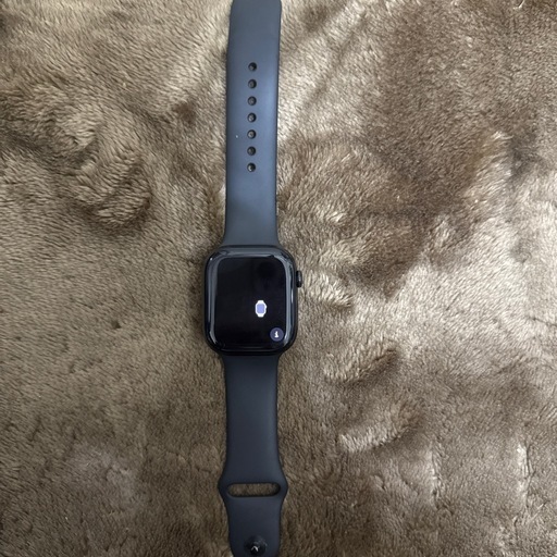 その他 Apple Watch series10