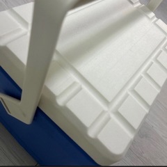 象印　クーラーボックス　20lの画像