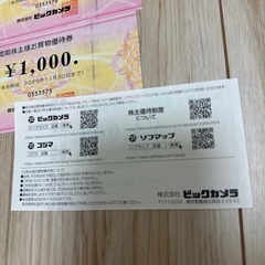 ビックカメラ　株主優待券4,000円分　2025年11月末までの画像