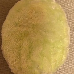 ミニ湯たんぽの画像