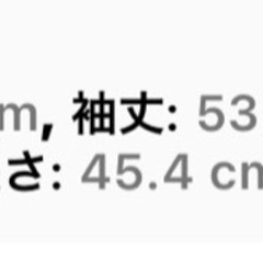 FRIFUL レディース ルーズフィット クルーネック ランタンスリーブ スウェットシャツ、マルチレイヤーメッシュデコレーションの画像