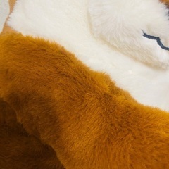 美品 くったりカワウソの赤ちゃん ぬいぐるみの画像