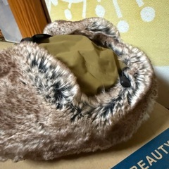 ノースフェイスフライトキャップフロンティアキャップの画像