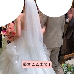 【結婚式】ヴェール・グローブ・ニップレス（新品）2セットの画像