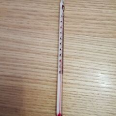 温度計ケース付き　0~100℃の画像