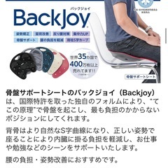 バックジョイ　骨盤サポートシート
の画像