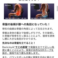 バックジョイ　骨盤サポートシート
の画像