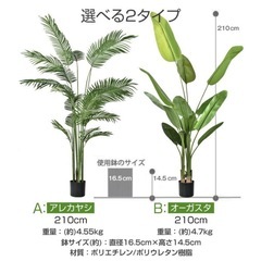 フェイクグリーン　人工
観葉植物　大型　210cm　オーガスタ　の画像