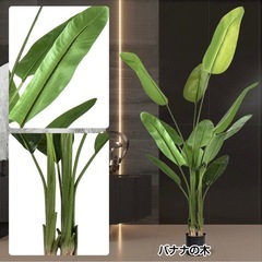 フェイクグリーン　人工
観葉植物　大型　210cm　オーガスタ　の画像