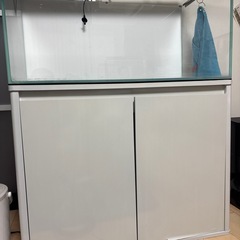 すいそう水槽の画像