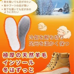 インソール 防寒 中敷き 温かい 保温 消臭 ふわふわ もこもこ 冷え性対策の画像