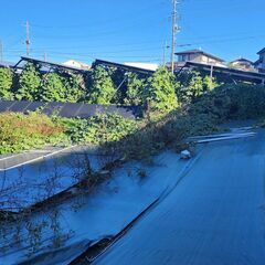 草刈り、刈った草の移動、清掃作業の画像