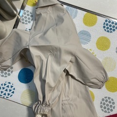 大型犬用カッパの画像