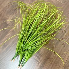 ココナッツプランター　フェイクグリーンつき の画像