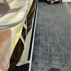 2025１１月末までに引取り希望の画像