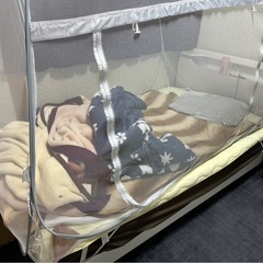 2025１１月末までに引取り希望の画像