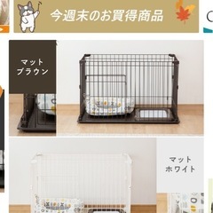 【美品】ペット用ゲージの画像