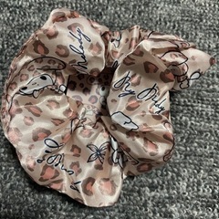 シュシュの画像