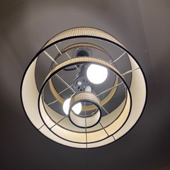 ライト(ベージュ）の画像