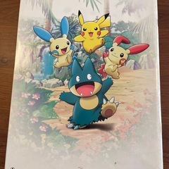 ポケットモンスター映画パンフレットの画像
