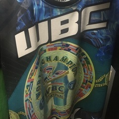 WBCムエタイの画像