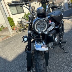 HONDA
ホンダモンキー125  ABSの画像