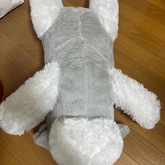 くったりシュナウザーの画像