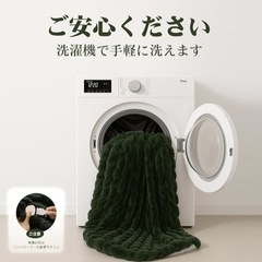 【新品未使用】電気毛布 ひざ掛け ライトグリーン 電気ブランケット 170×130cm PSE認証 5段温度調節 切タイマー 丸洗い可能の画像