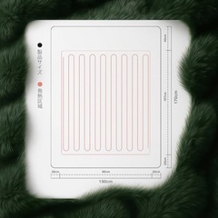 【新品未使用】電気毛布 ひざ掛け ライトグリーン 電気ブランケット 170×130cm PSE認証 5段温度調節 切タイマー 丸洗い可能の画像