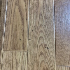 ビニール　マットの画像