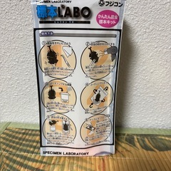 昆虫・標本キットの画像