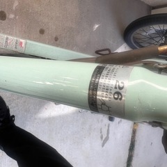 バレリアーノ 薄い緑変速ギア付き自転車の画像