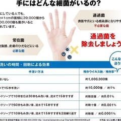 TOAMIT ハンドクリッチ 500ml 12本入りの画像