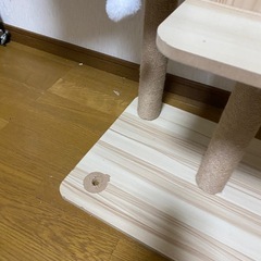 キャットタワー、一部破損有りですが、8000円くらいだったかな⁉️の画像